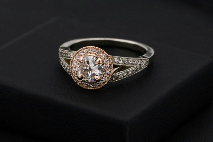 Aurelia Solitaire
